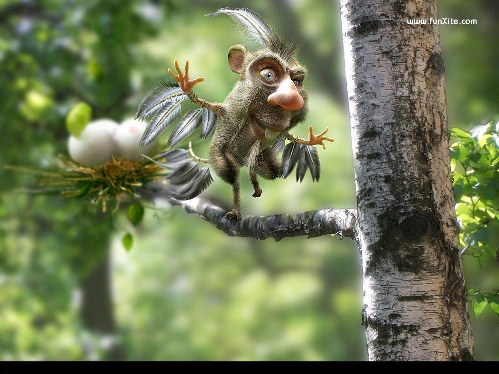 New Funny Wallpaper. See N Explore World