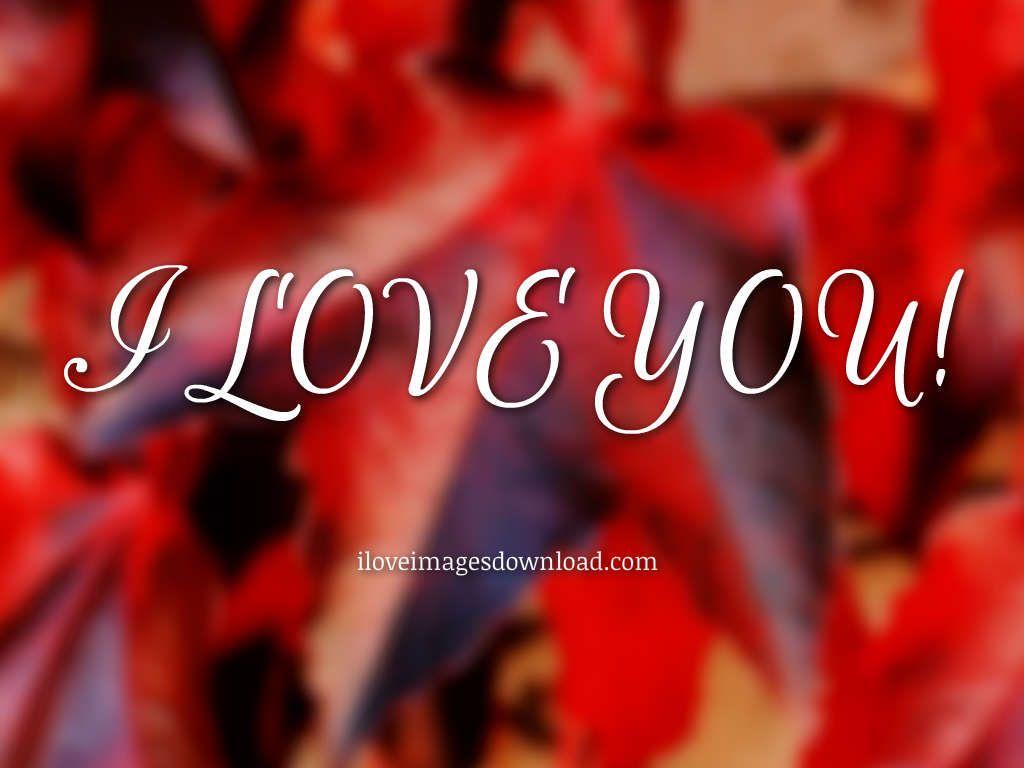 I Love You: Image Photo Picture and Wallpaper HD Free Download