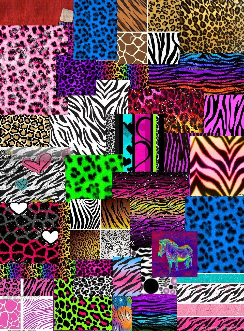 Rainbow Cheetah Print Wallpaper Wallpaper Zone Desktop Background
