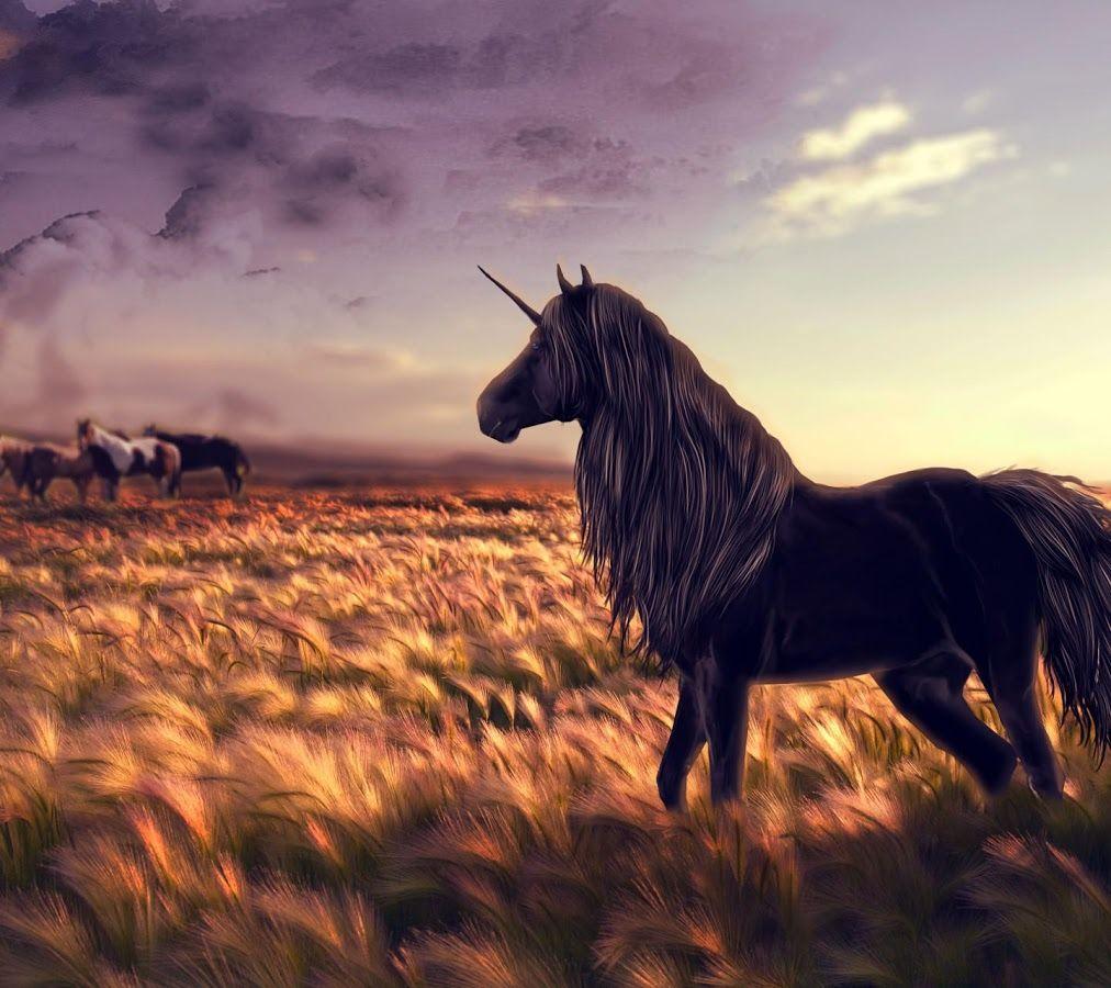 Unicorn & Pegasus Wallpaper HD 1.0 APK Download