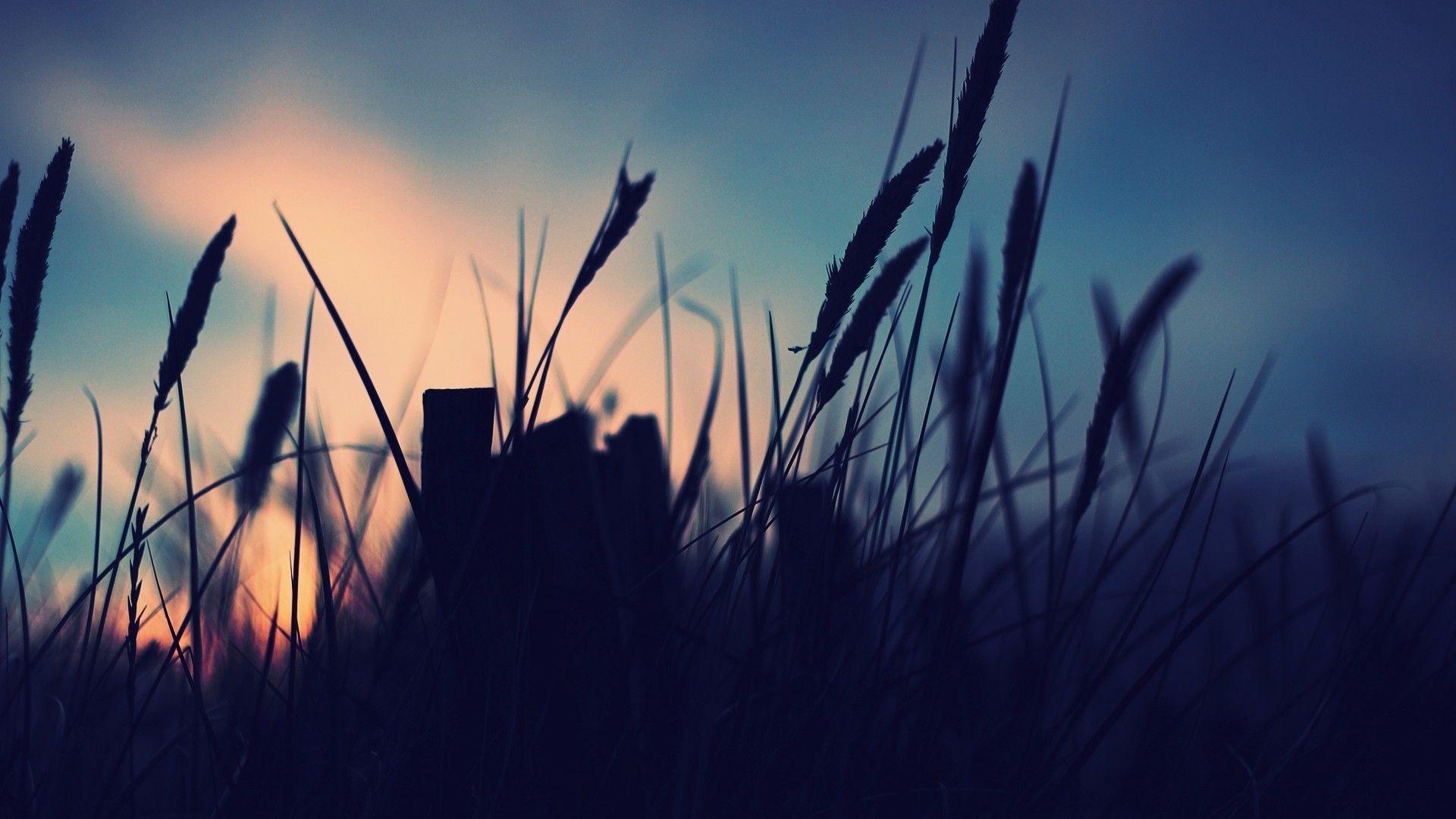 Best 62 Beautiful Full HD 1080p Nature Wallpaper & Latest Image