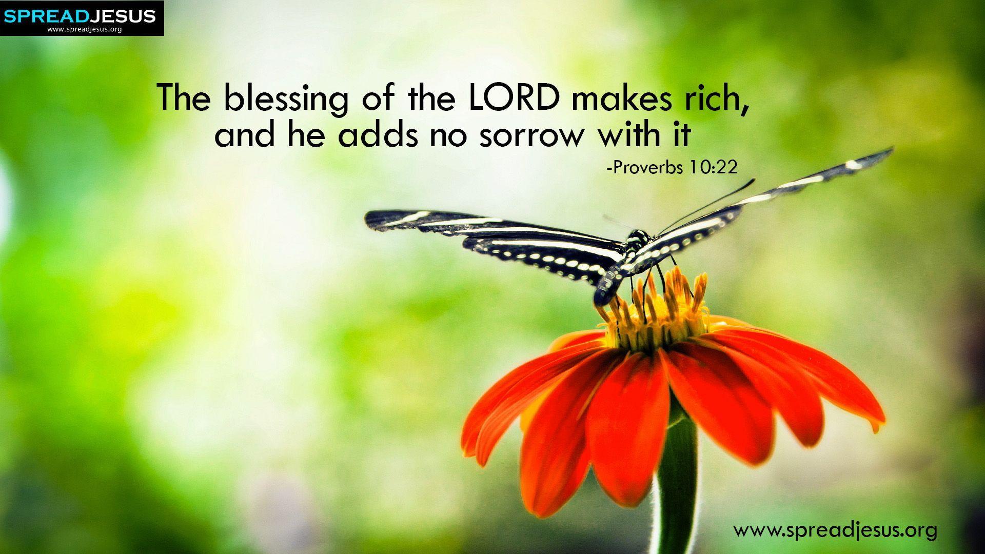 Proverbs 10:22 Bible quotes HD Wallpaper Download. BIBLICAL