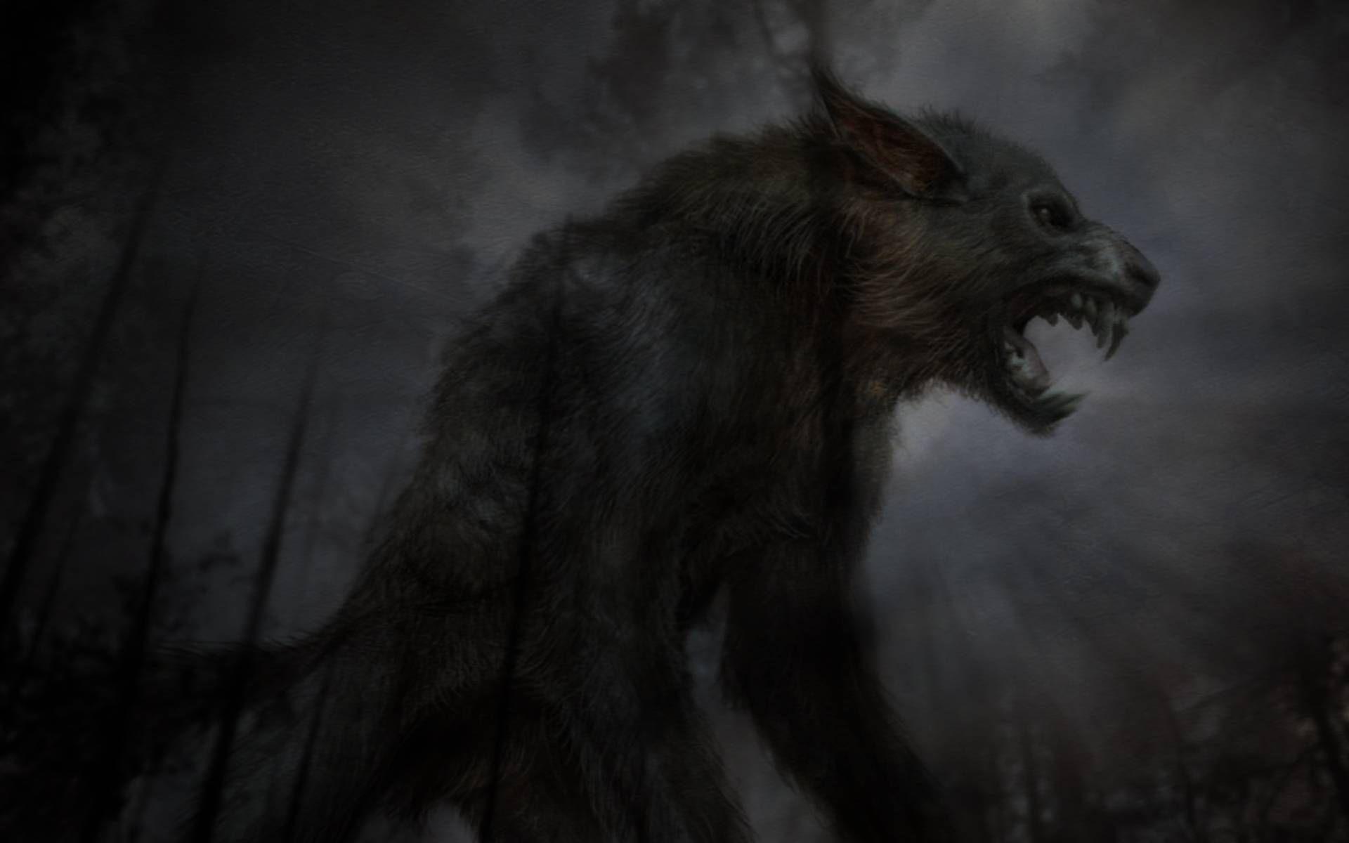 Scary Wolf Wallpaper (Picture)