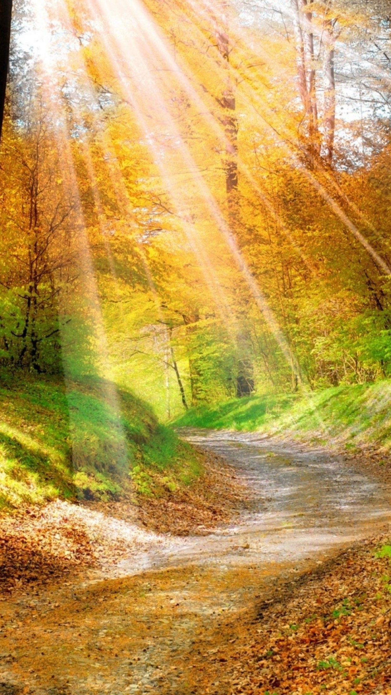 Nature iPhone Wallpaper HD