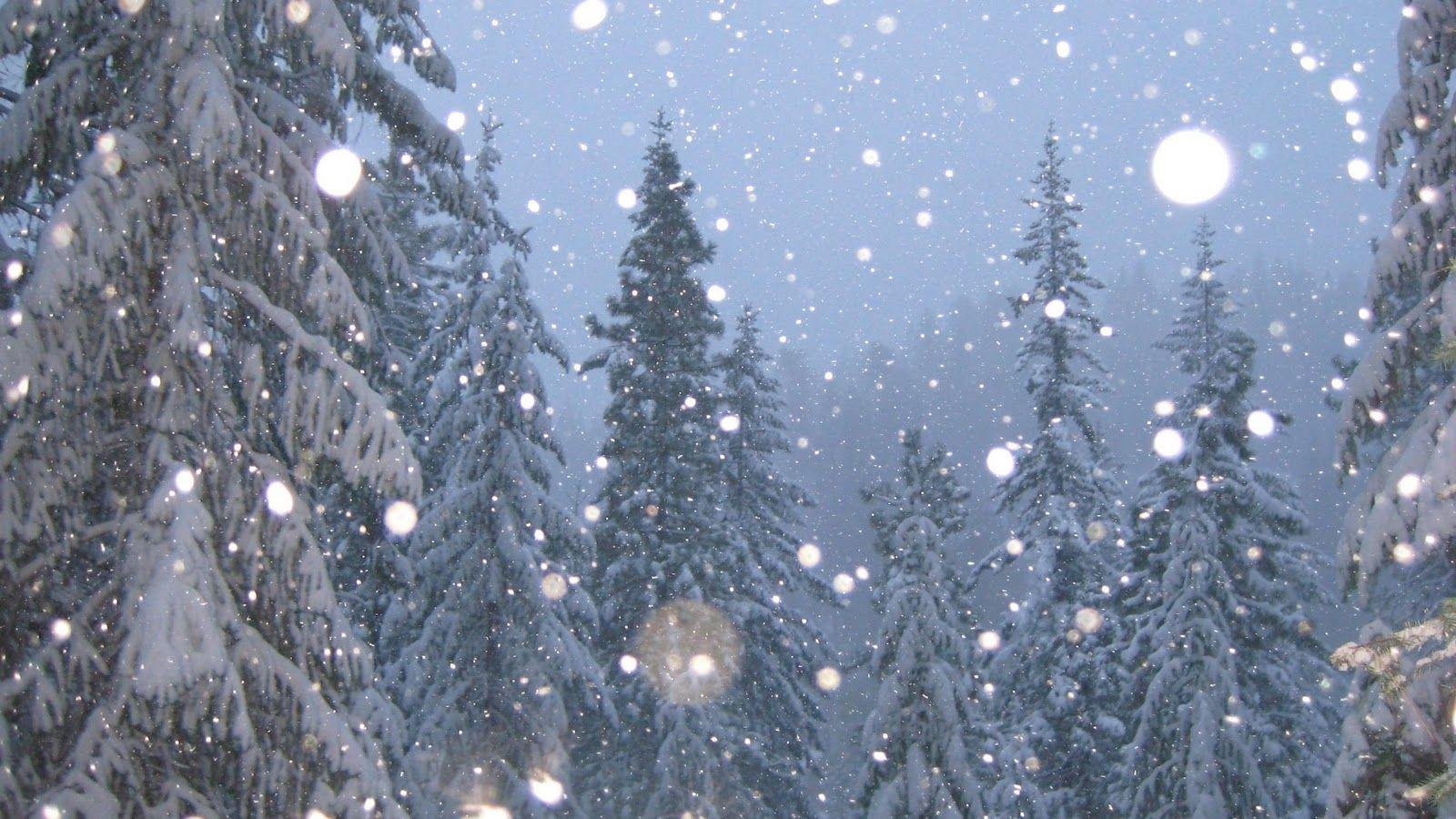 Snow Falling Background Wallpaper