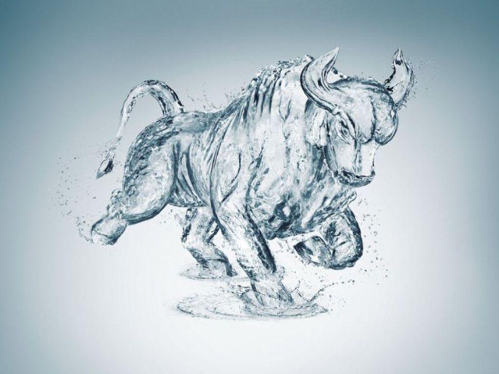 Blue Bull Wallpaper Images For Kids Wallpaper Cave