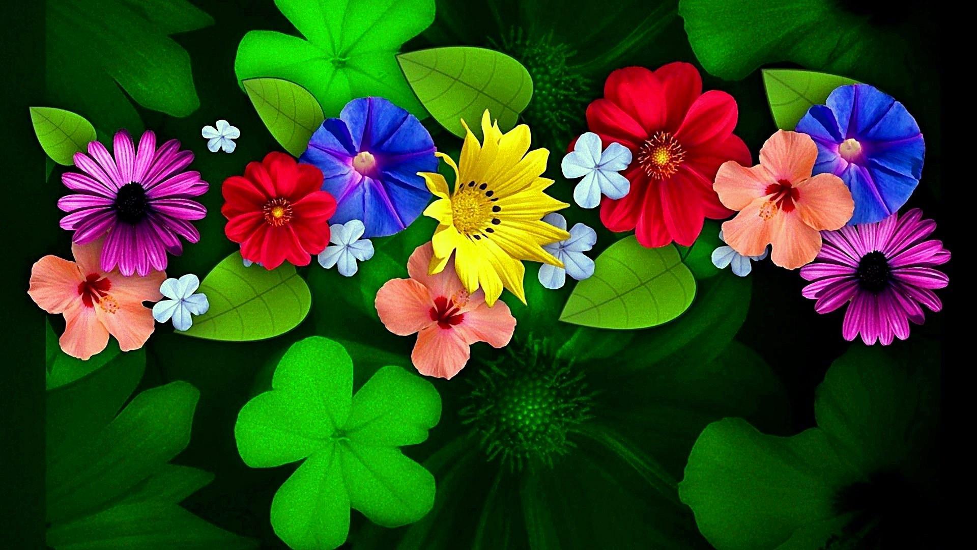 Colorful Flower Hd Wallpapers Wallpaper Cave