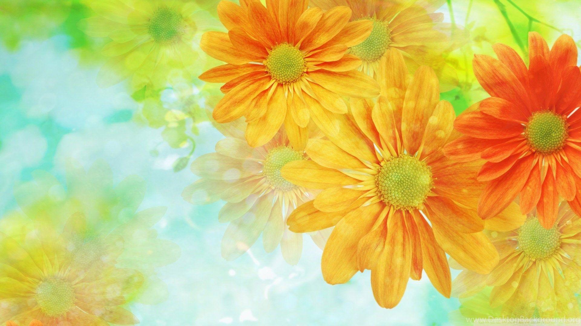 Colorful Flower Wallpaper HD Wallpaper Pretty Desktop Background