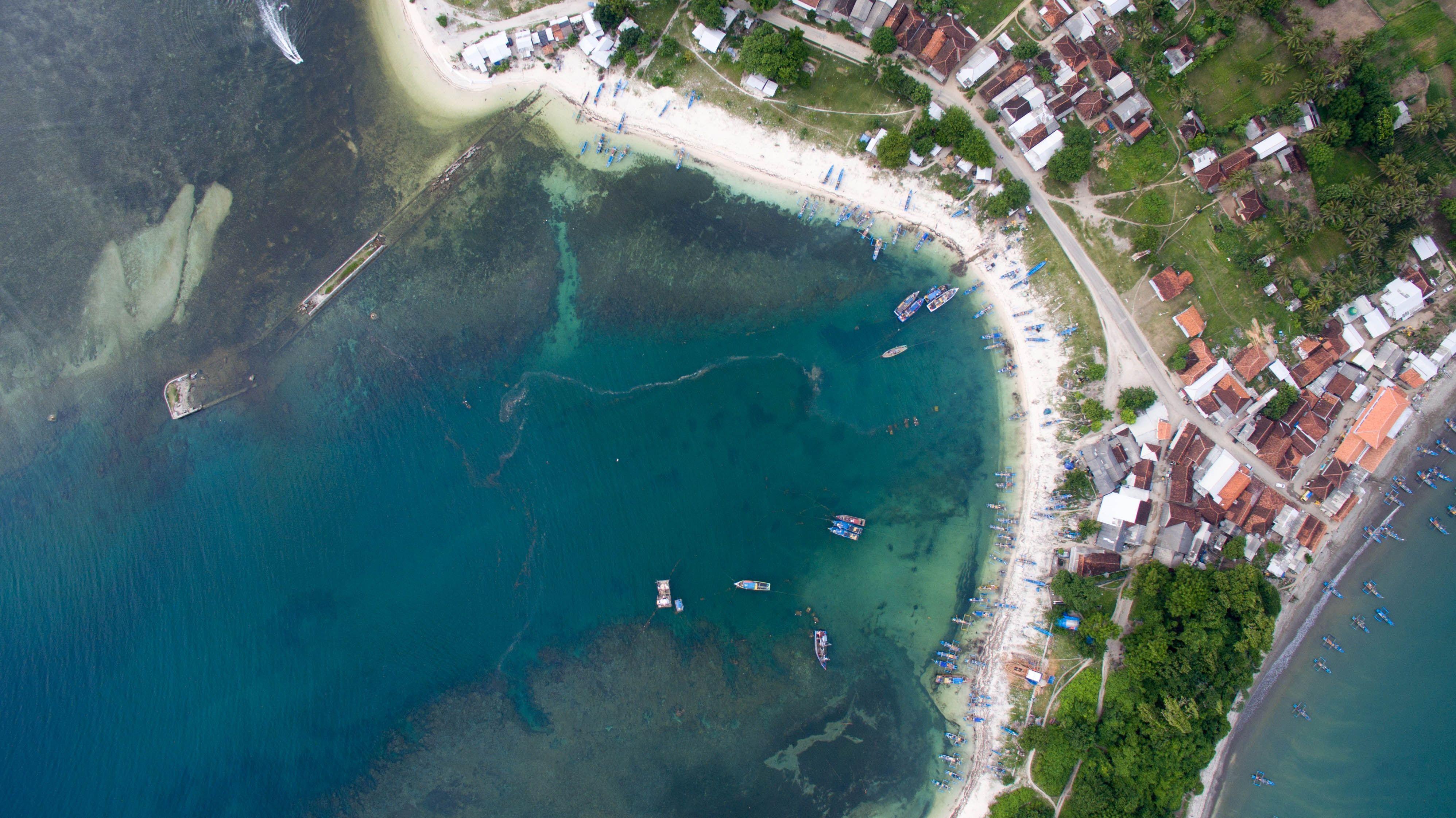 Free of aerial view, beach, bird's eye view