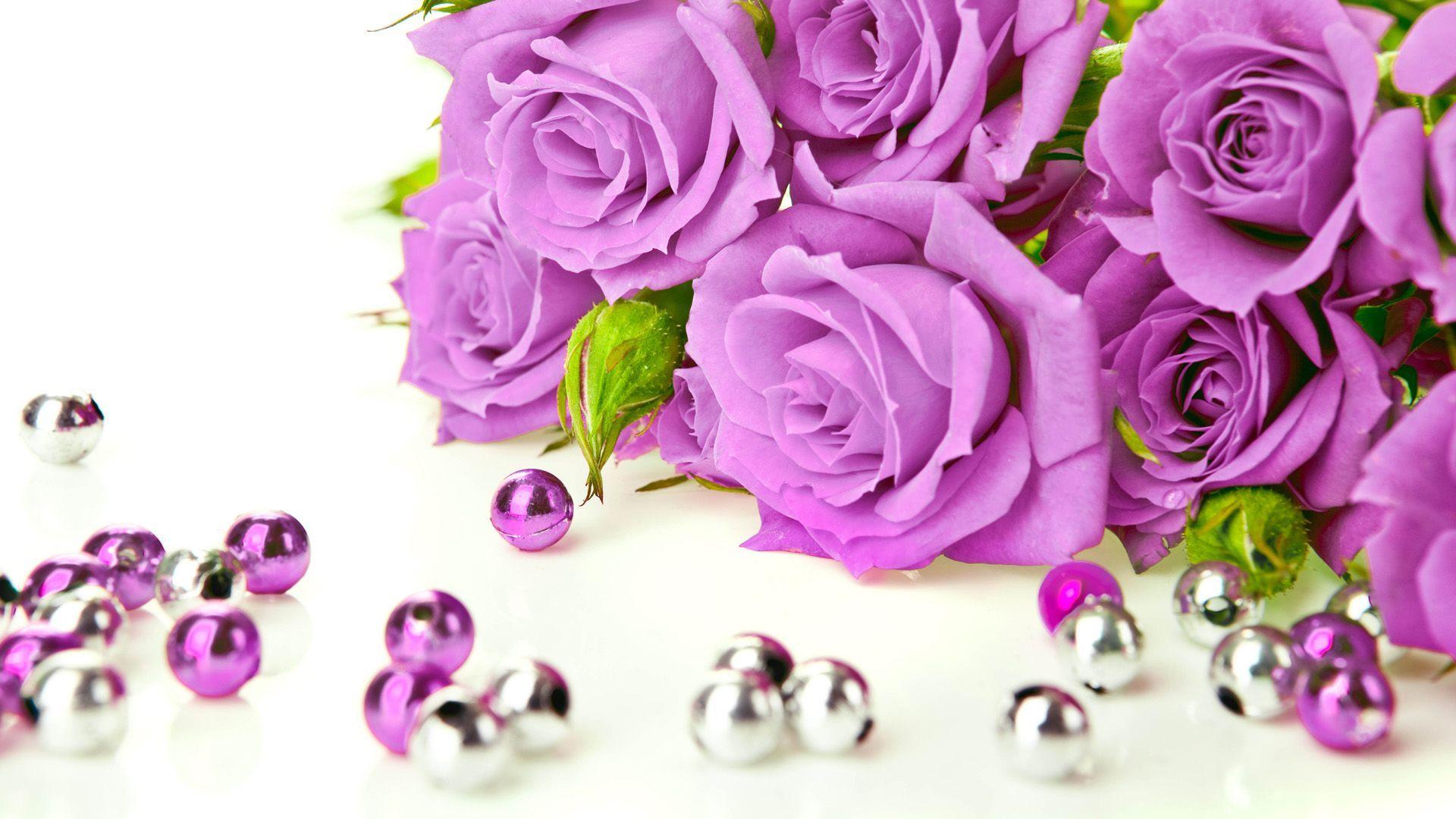 PURPLE, BLACK , RAINBOW, GREEN & GOLDEN ROSES