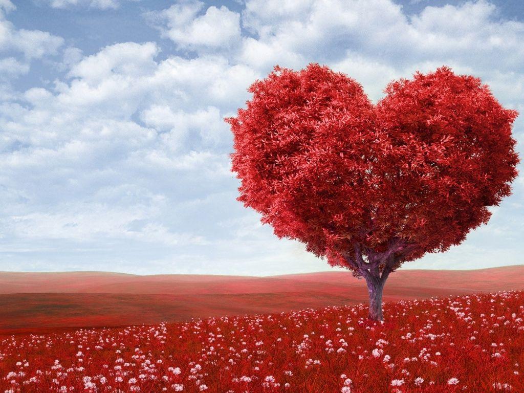 Photos Of Nature Love Nature Love Wallpaper HD. Pixelstalk