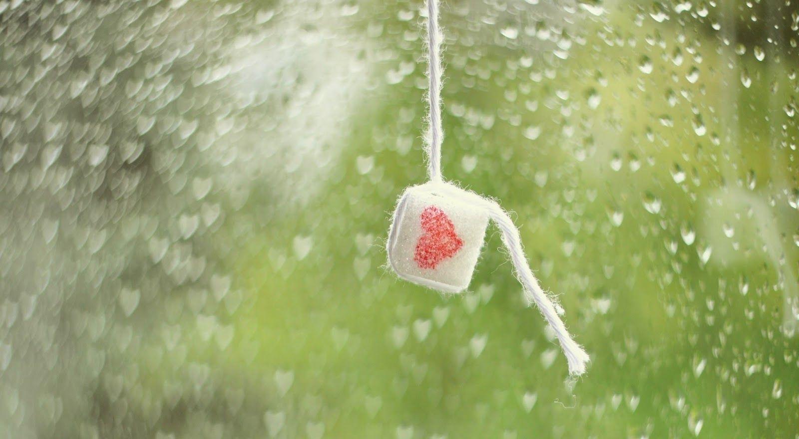 Wallpaper Nature Love HD Image On Natures With For Computer. Full