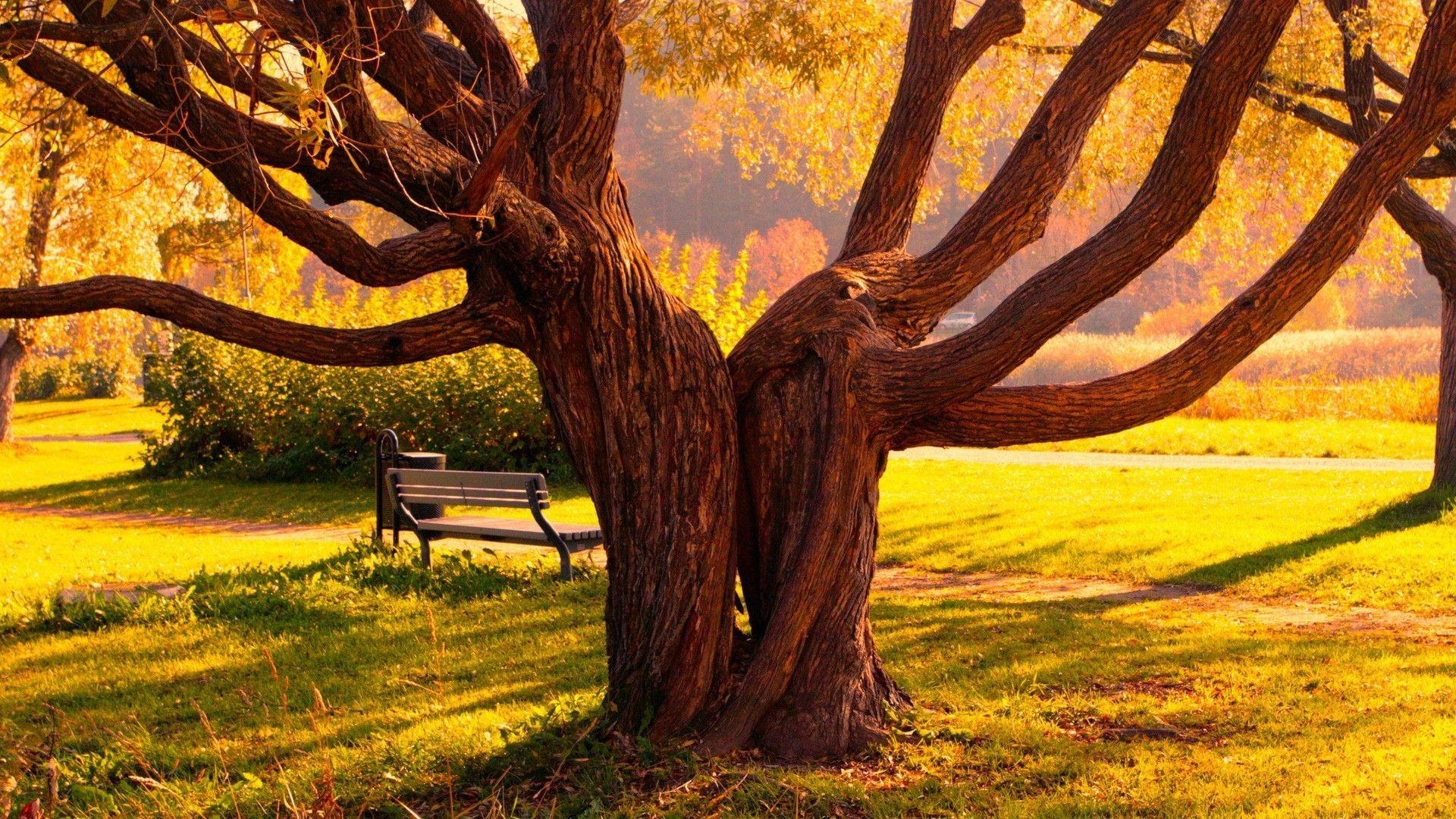 love and nature wall art