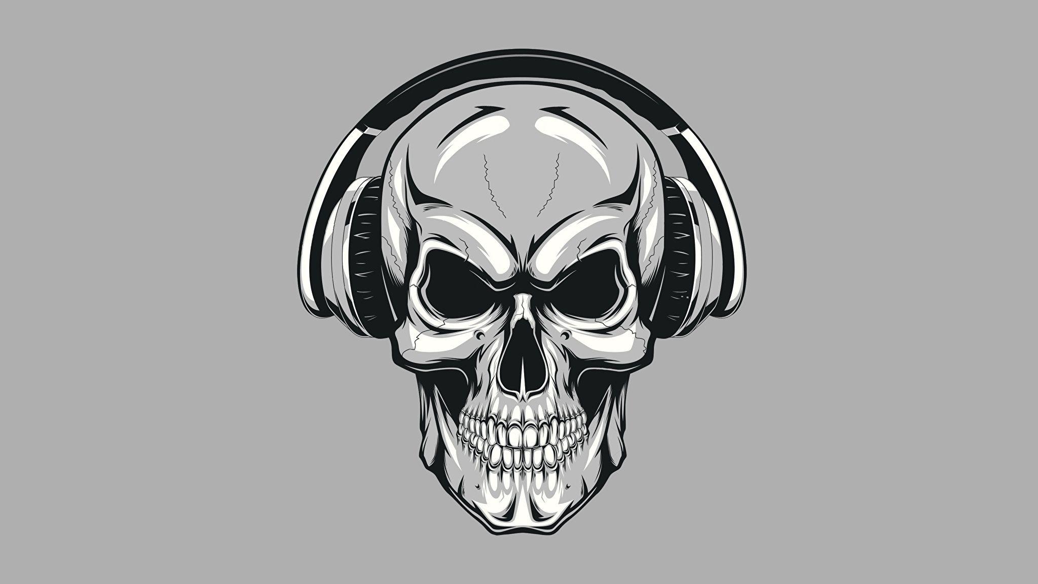 Picture Skulls Headphones Gray background 2048x1152