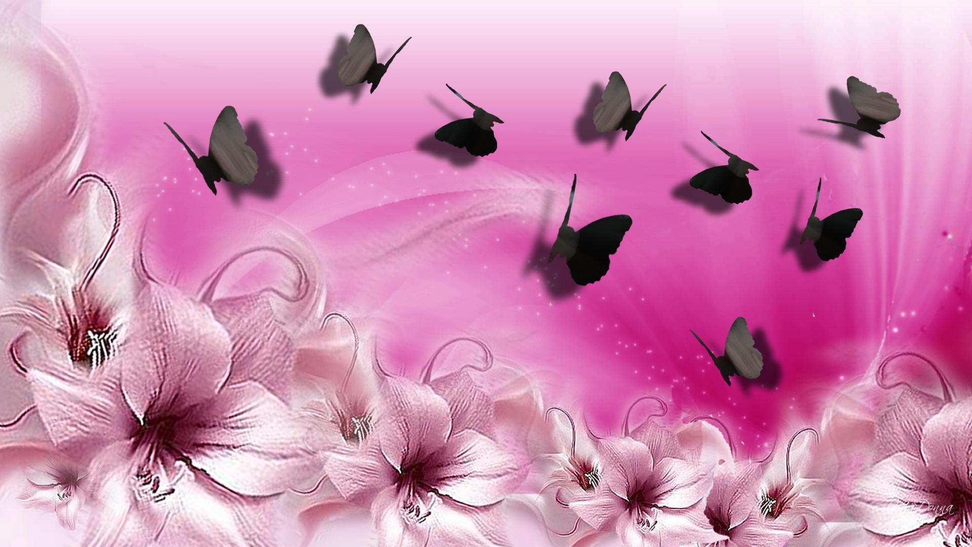 Free Pink Butterfly Wallpaper Desktop