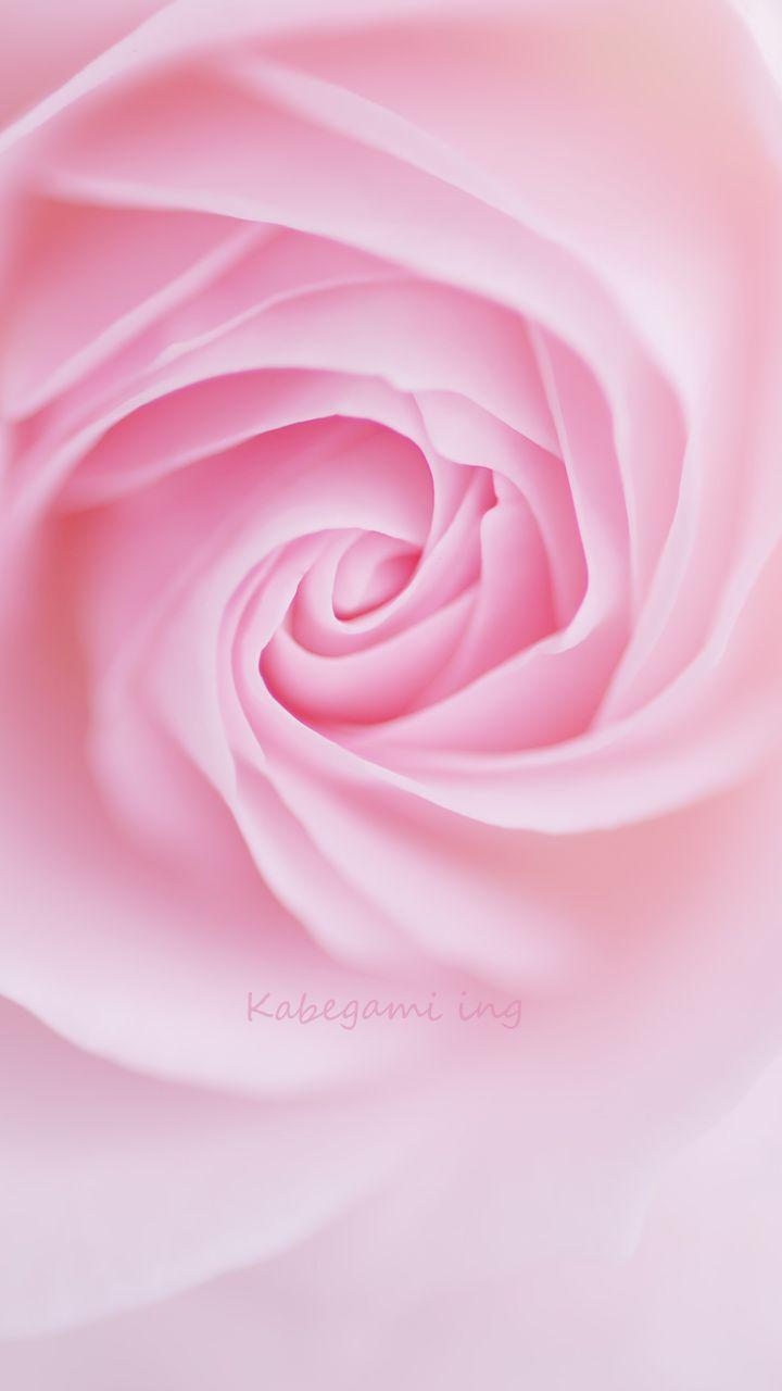 high definition mobile phone wallpaper 720x1280 hd