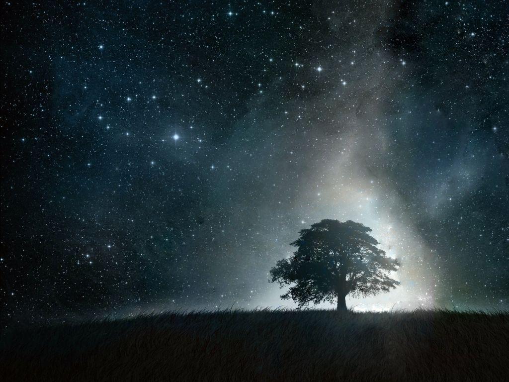 Beautiful Night Sky HD Wallpaper, Background Image