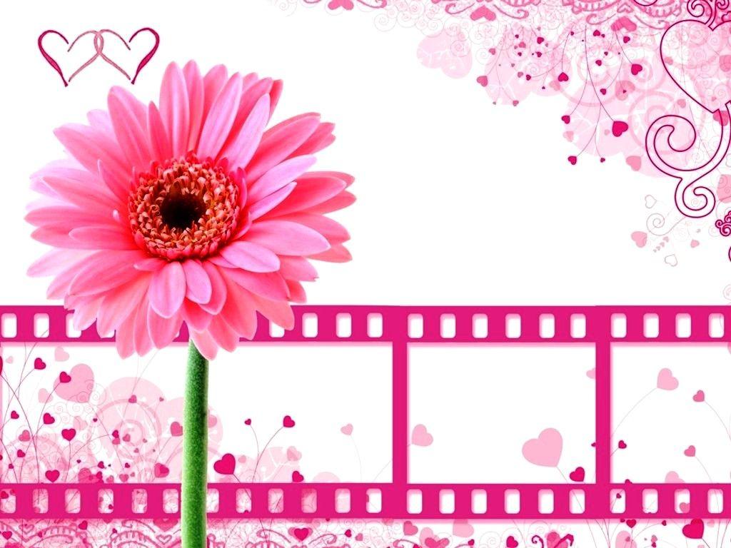 units of Cute Pink Wallpaper