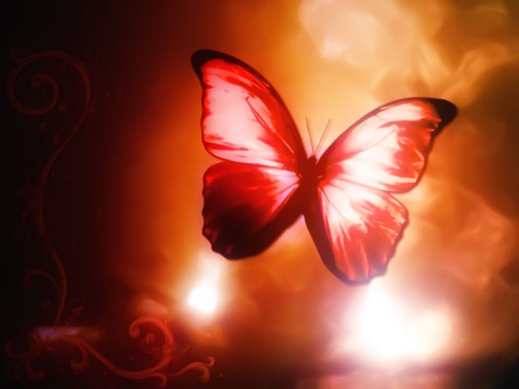 1406) Red Butterfly HD Wallpaper