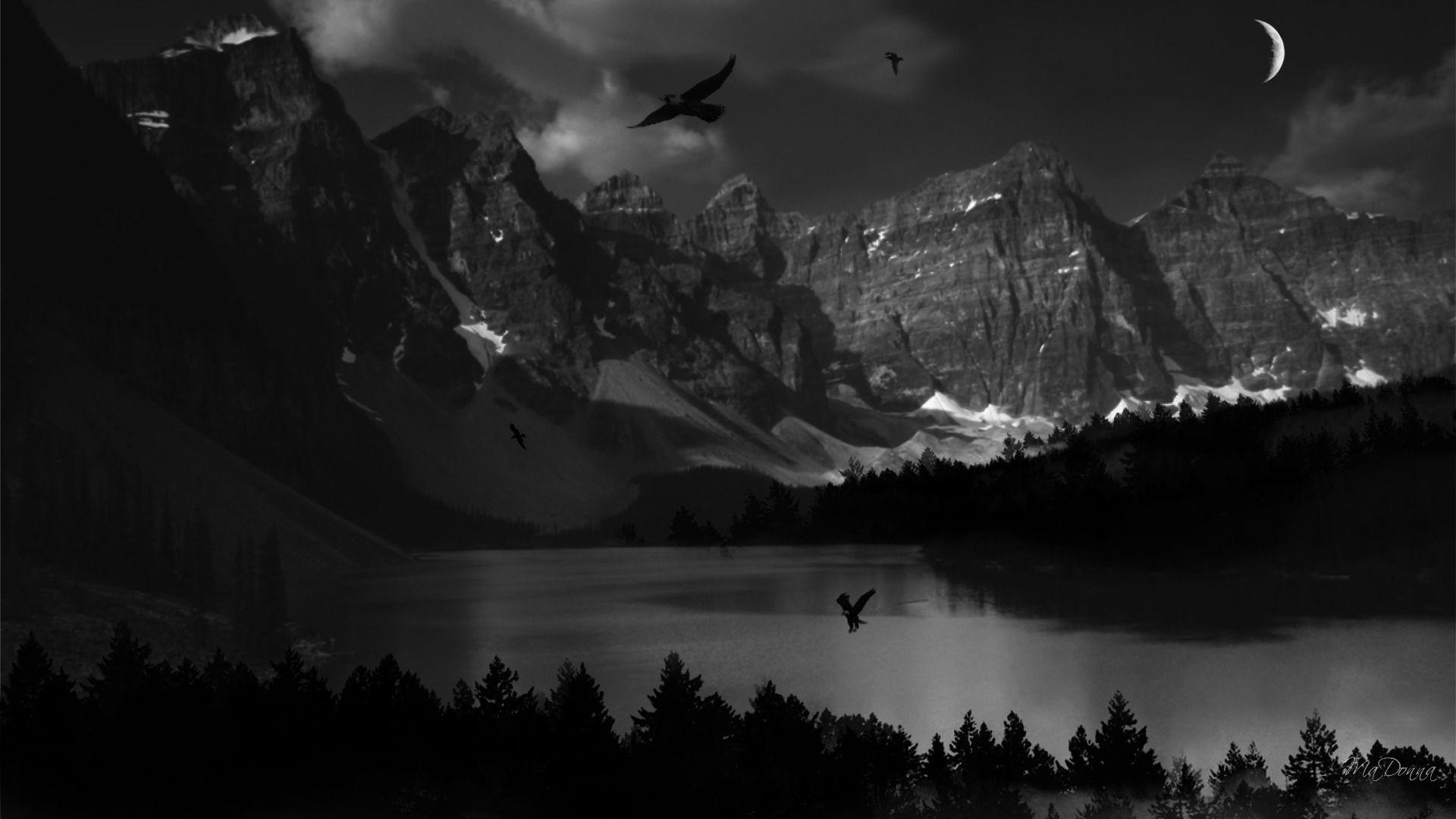 Black And White Nature Background HD wallpaper