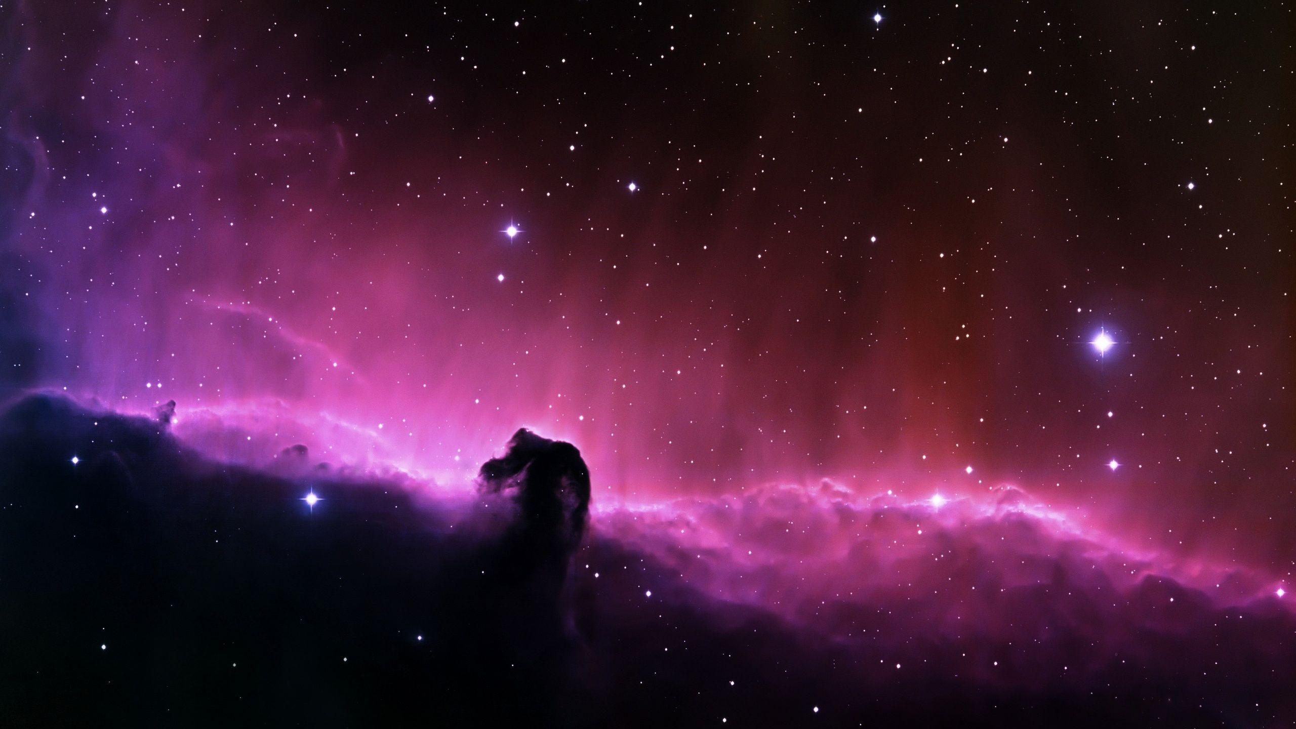 Horsehead Nebula Purple Deep Space Desktop Wallpaper