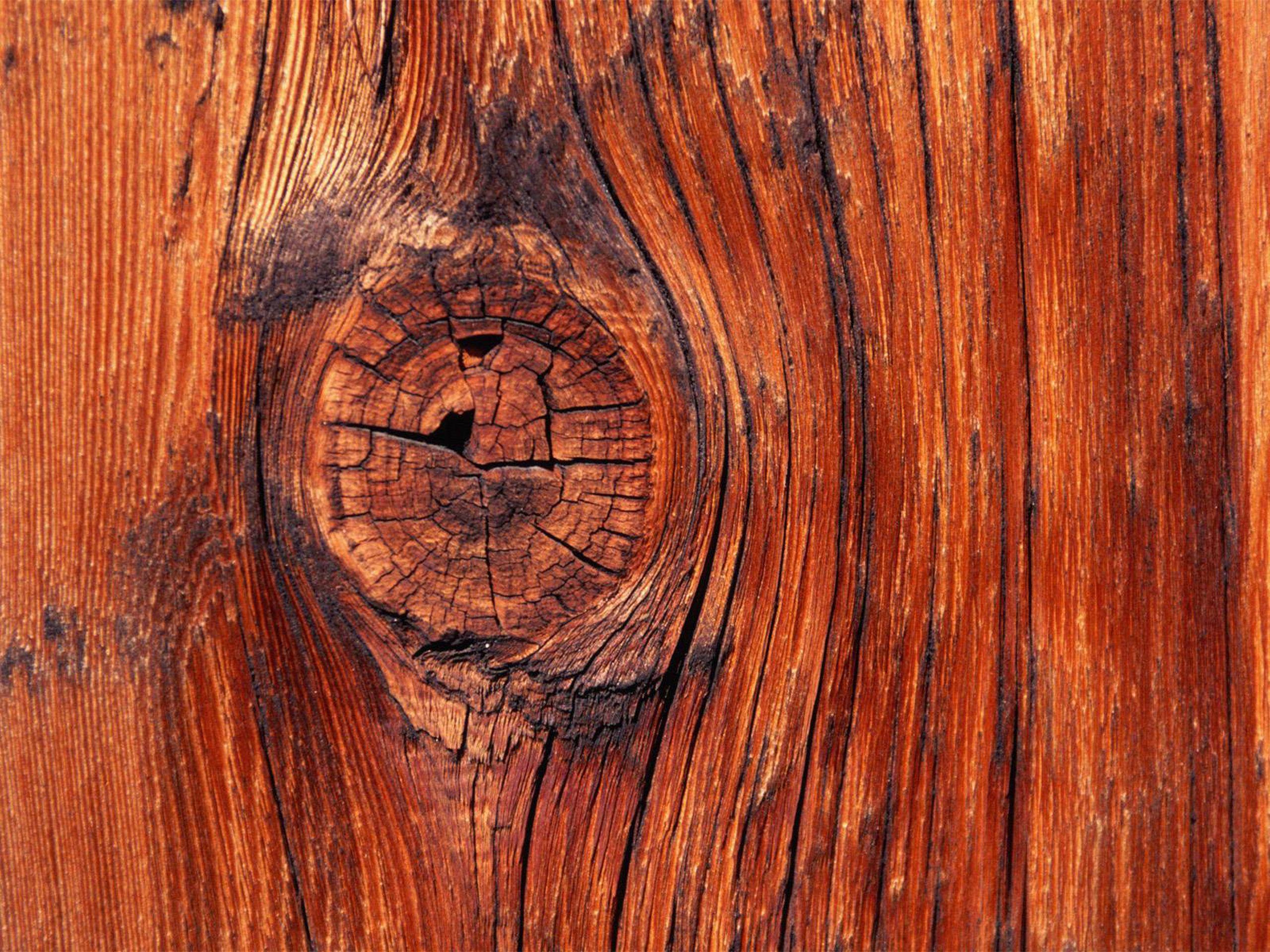 Android Wallpaper: Knock on Wood