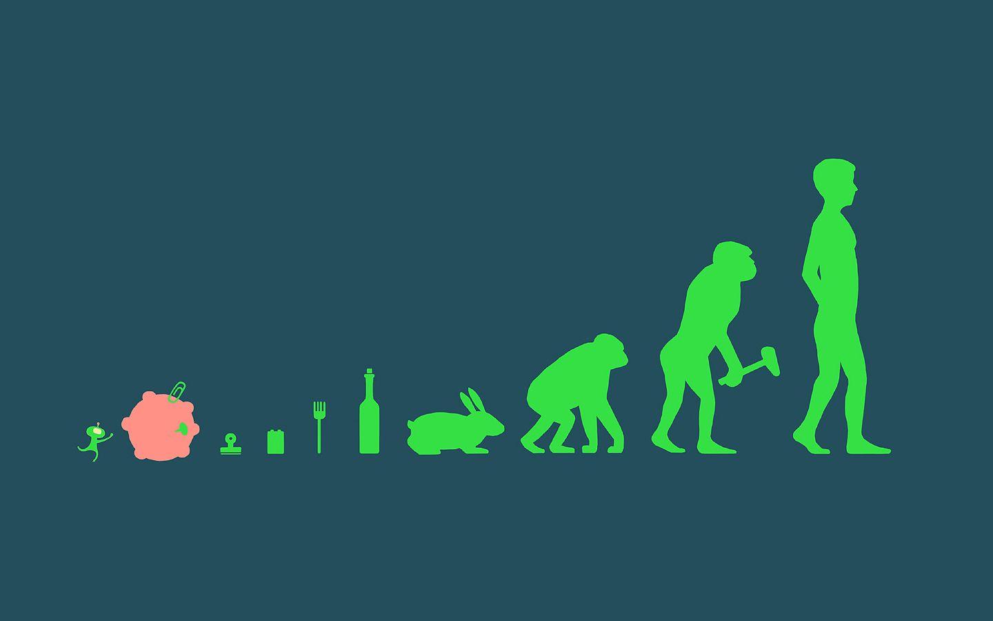 Download the Levels of Evolution Wallpaper, Levels of Evolution