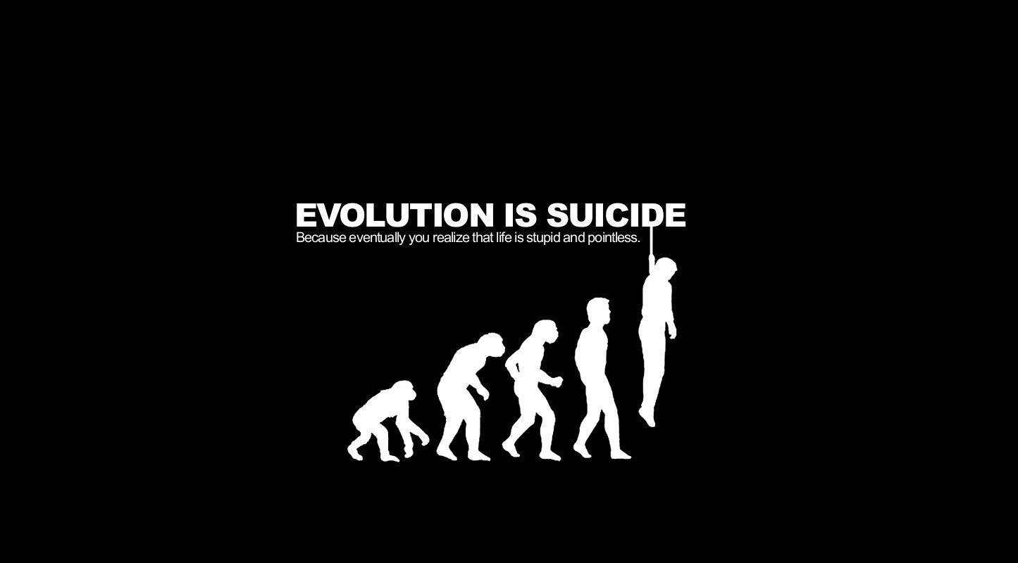evolution, black humor wallpaper