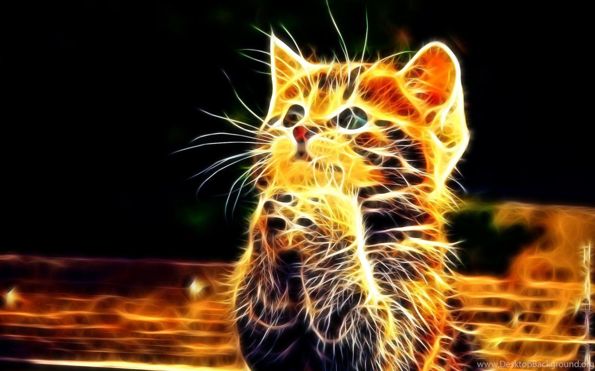 Cute Cat 3D Animal Free Desktop Wallpaper Desktop Background