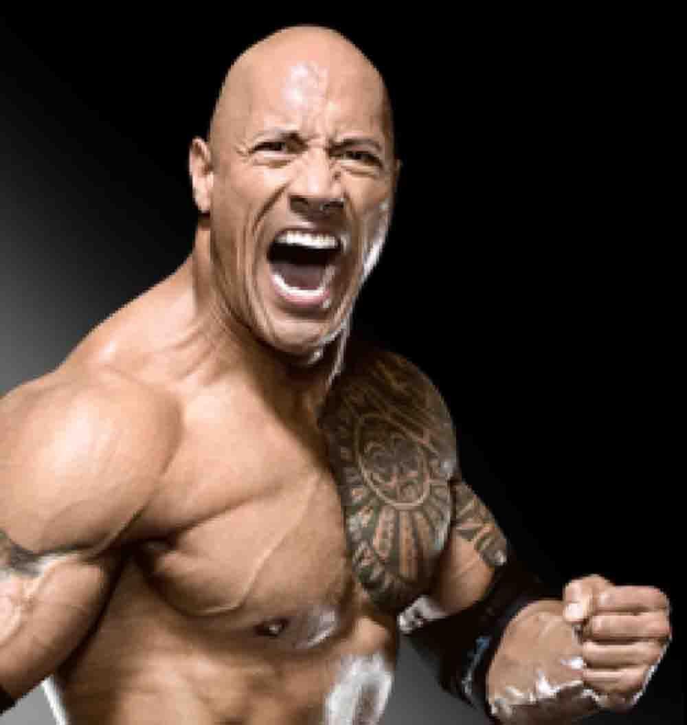 Wwe Rock Image