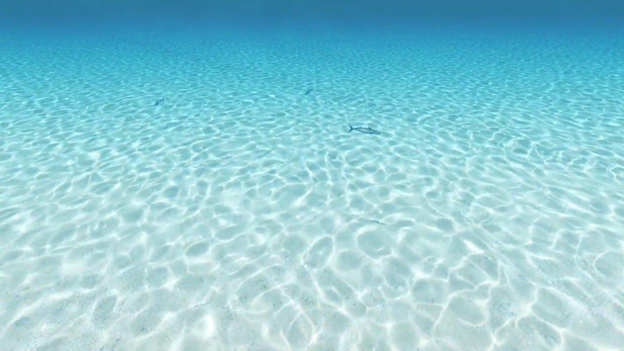 underwater Footage HD Background Video 1080p