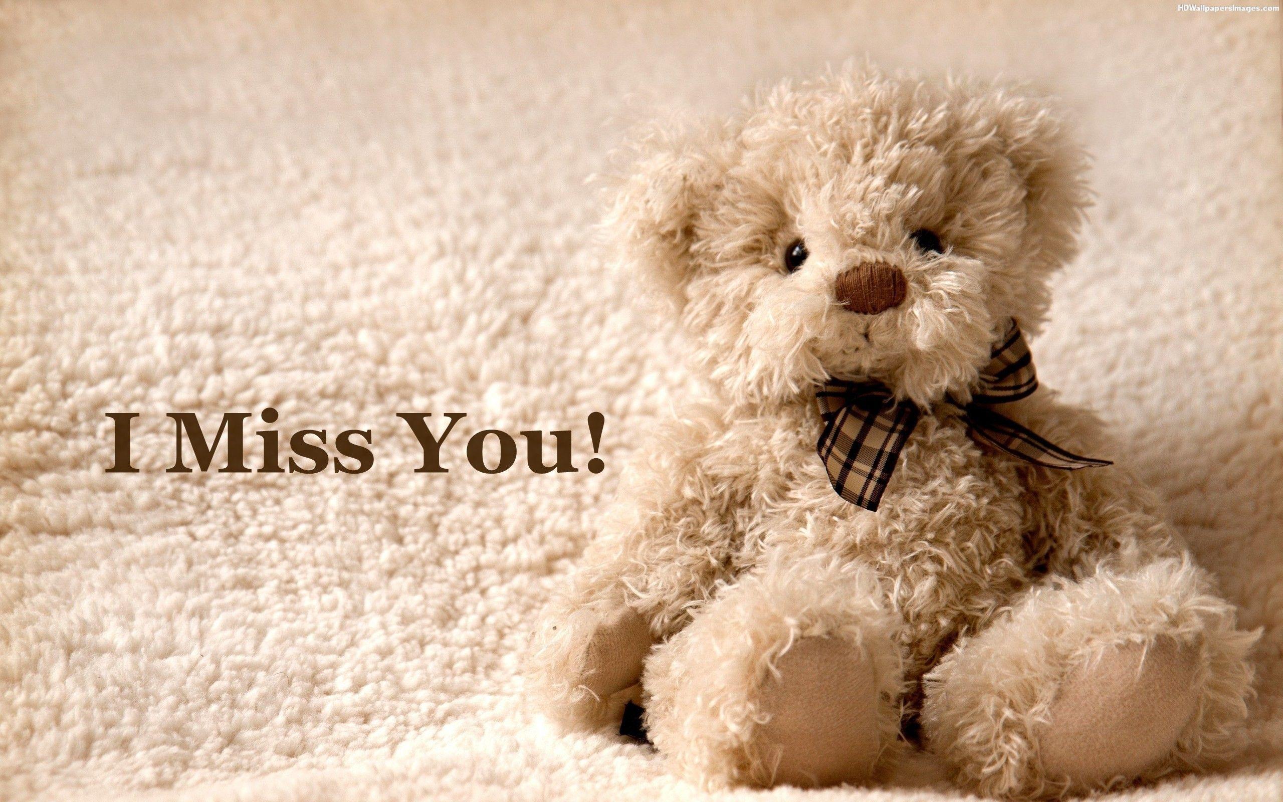 I Miss You Cute Teddy Bear HD Wallpaper