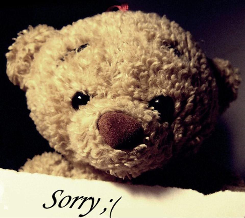 Teddy Bear Image, Picture, Photo, Quotes and Funny