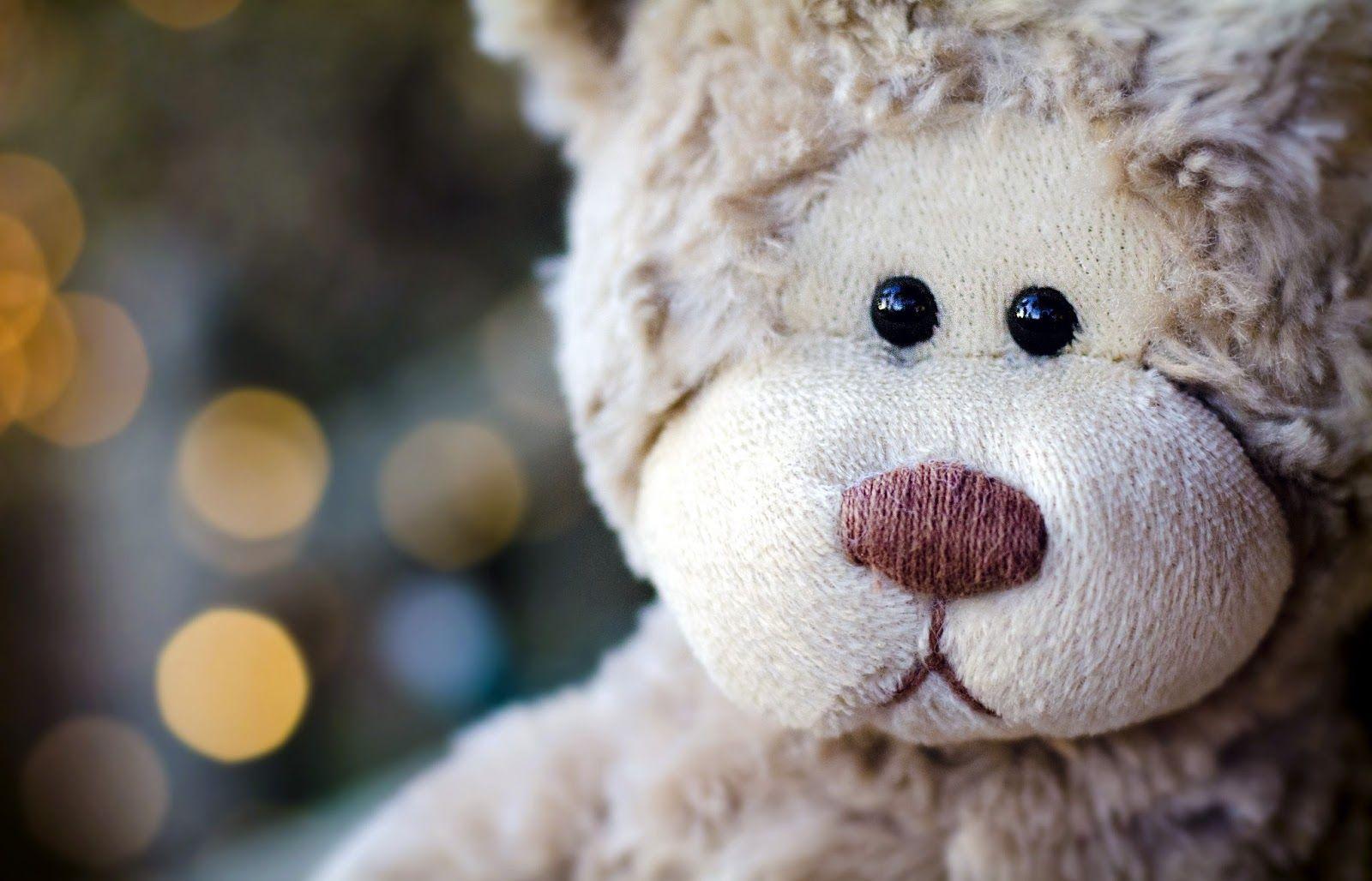 sad teddy bear wallpaper