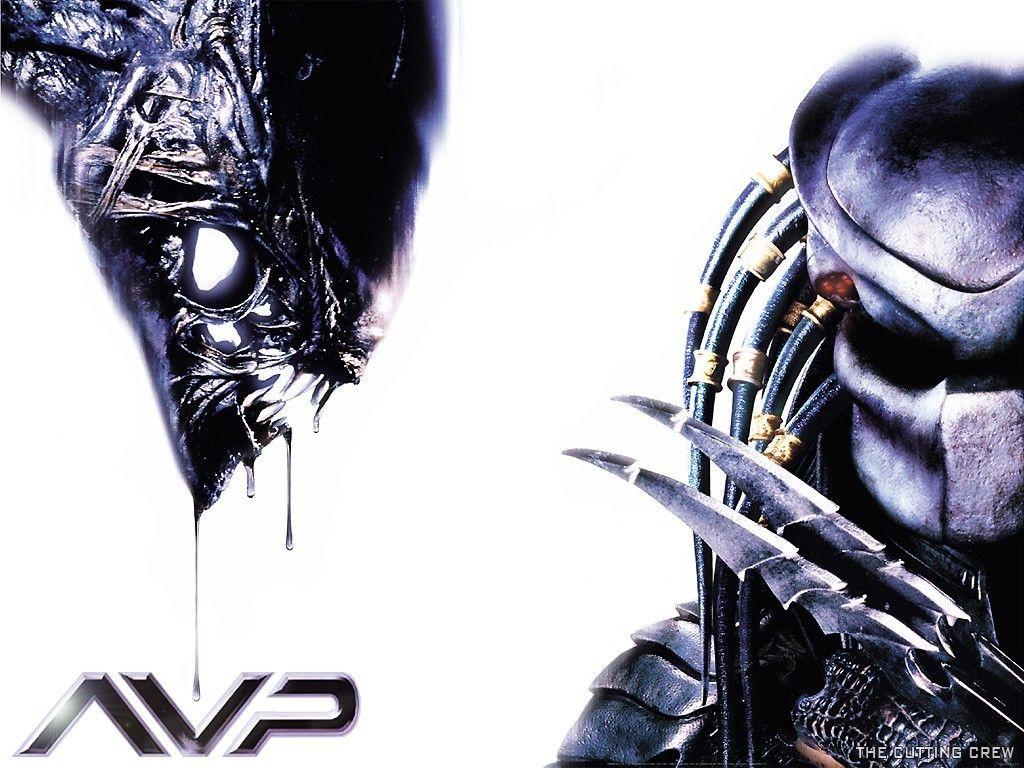 Games Alien Vs Predator 1024x768px - 100% Quality HD Wallpapers.