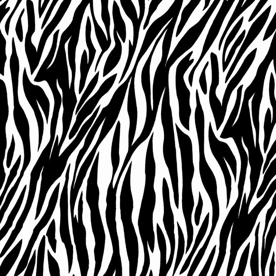 Accessories: Epic Picture Of Decorative Black And White Zebra
