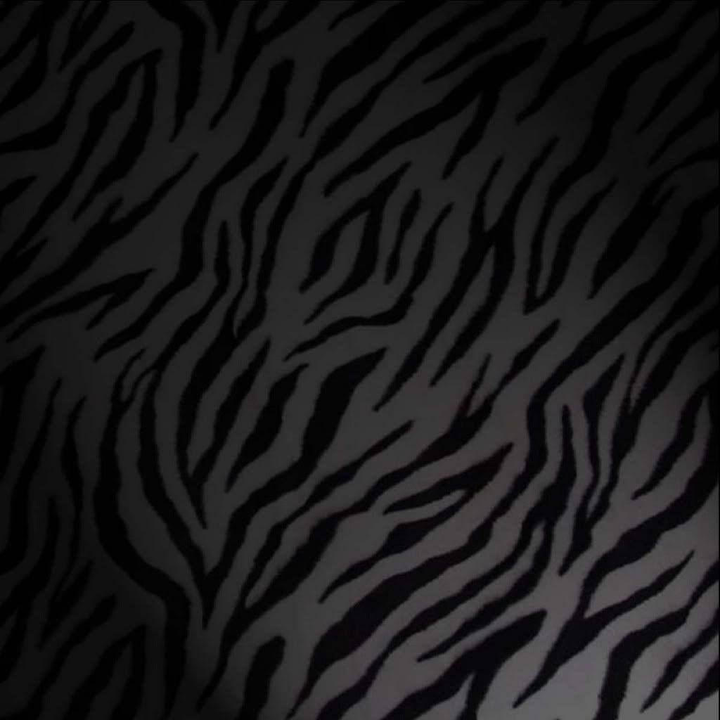 black and white zebra print wallpaper Desktop Wallpaperk HD