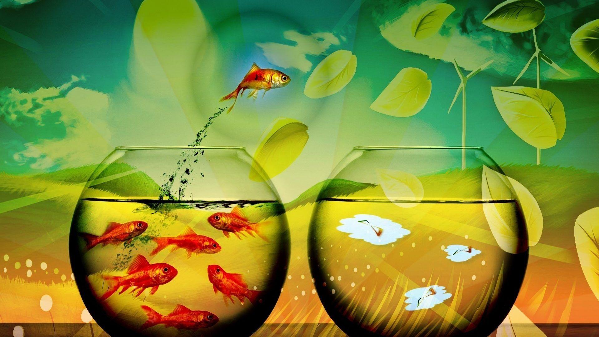 Fishes Plants Gold Drops Funny Humor Bowl Manipulation Fish Image