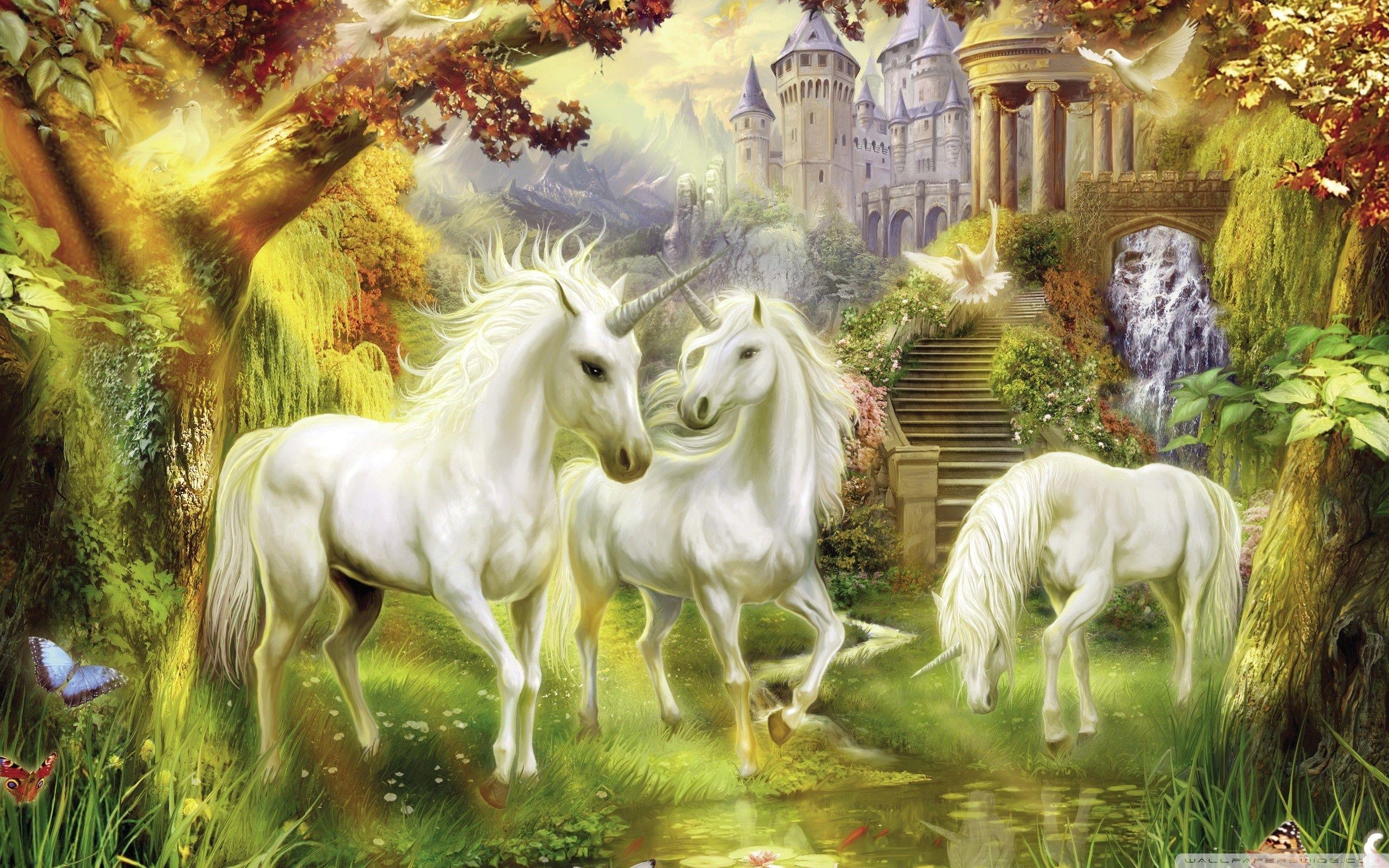 Fantasy Unicorns ❤ 4K HD Desktop Wallpaper for 4K Ultra HD TV