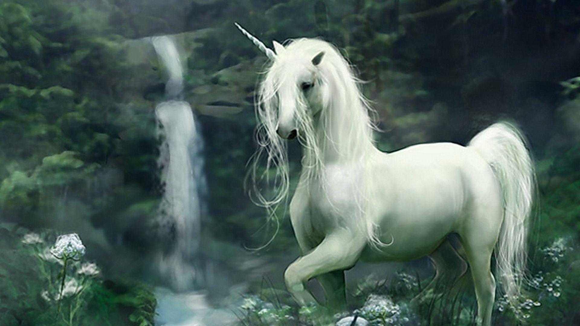Unicorn Wallpaper HD Free Download