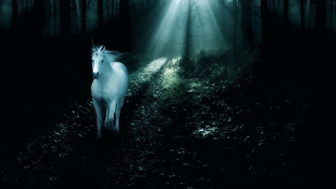 1366x768px Unicorn Wallpaper for My Desktop