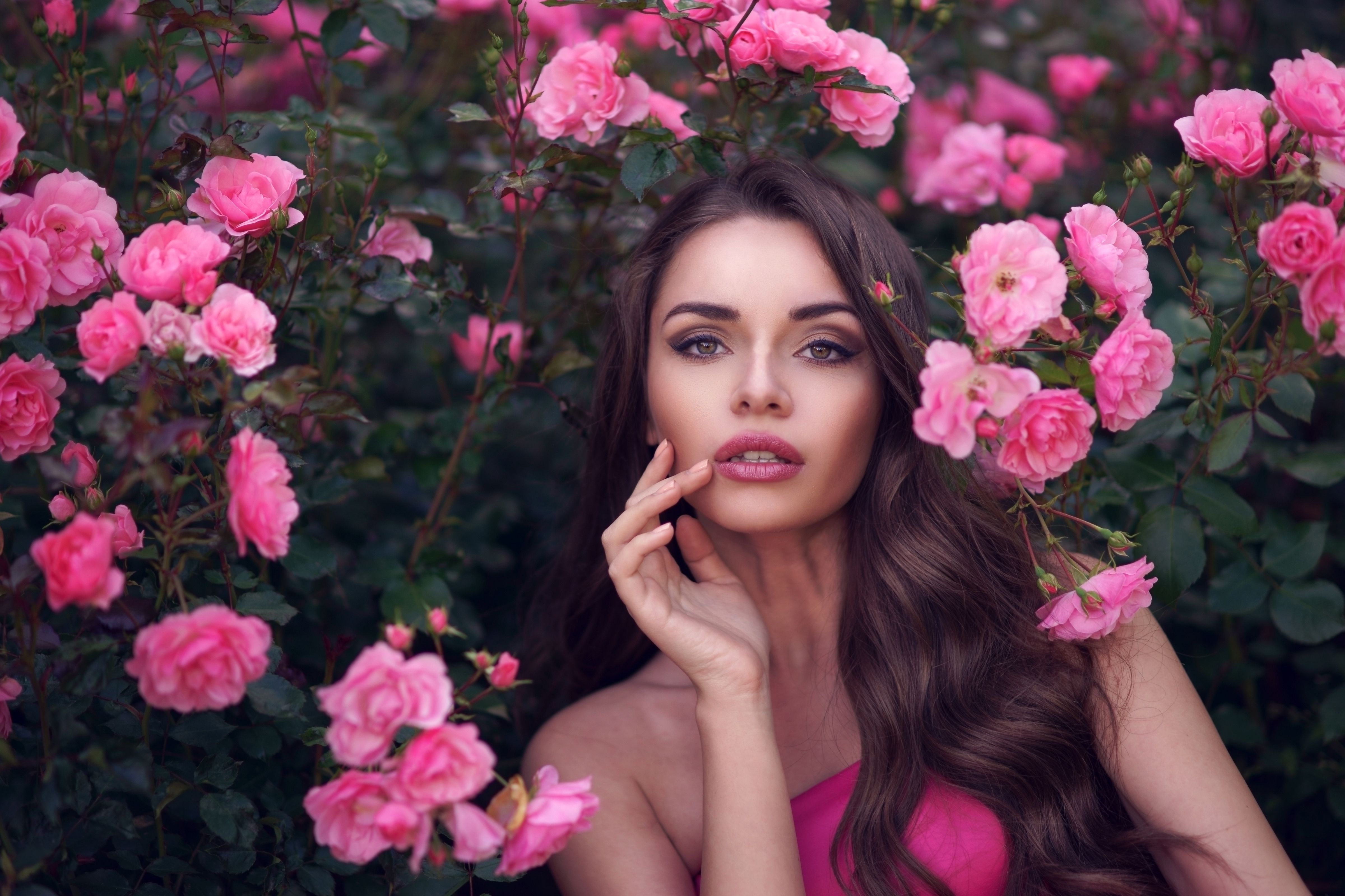 Woman in Pink Roses 4k Ultra HD Wallpaper. Background Image