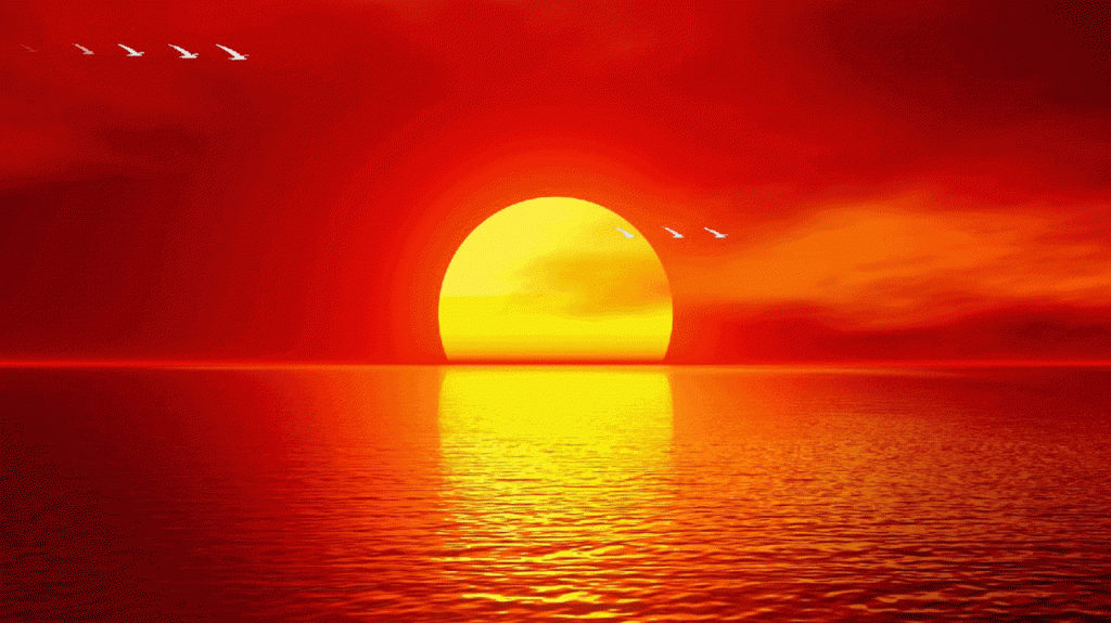 beautiful ocean sunset wallpaper x 800