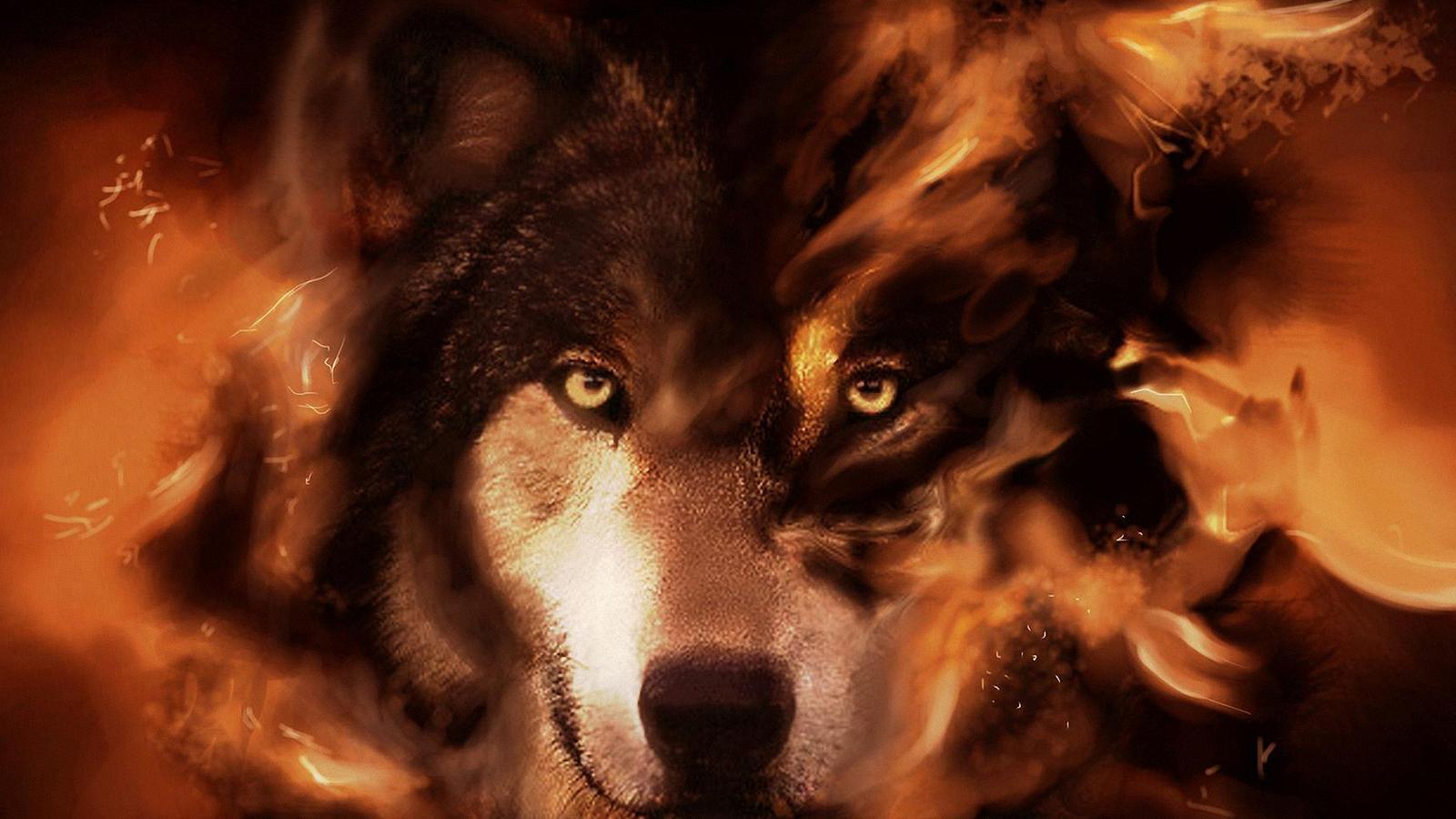 ) Download Cool Wolf Wallpaper For Free