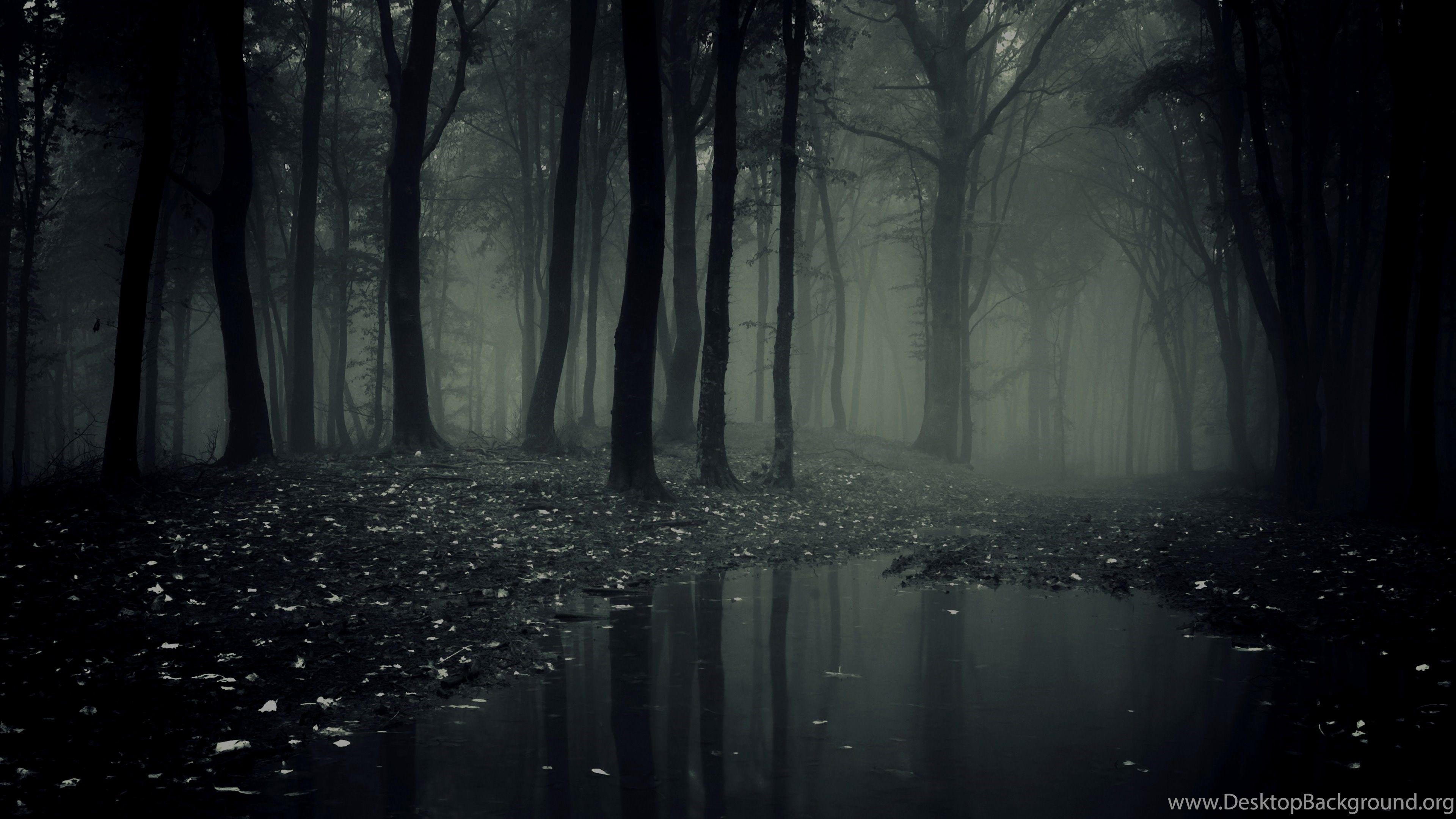 Dark Forest Wallpaper Desktop Background