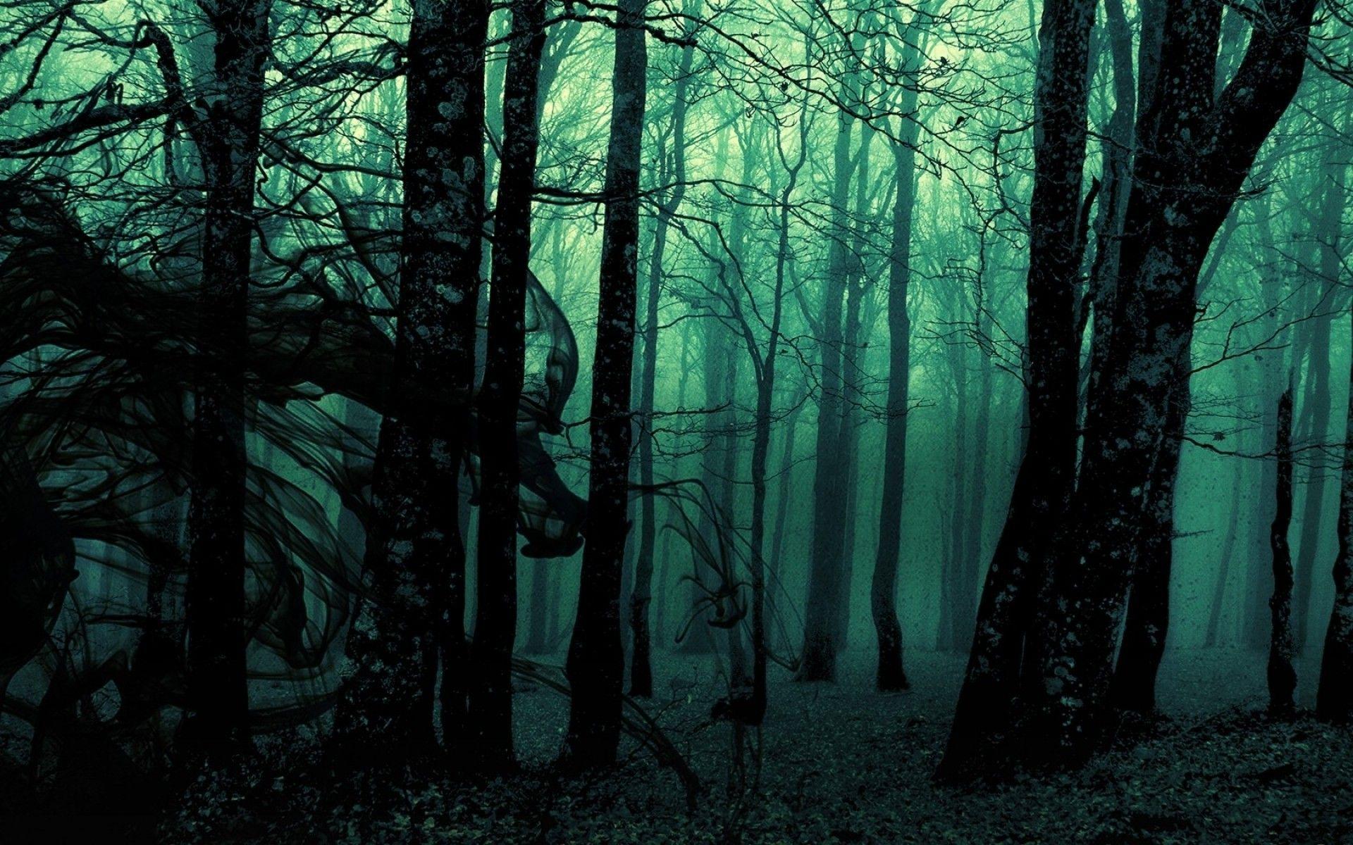 forest, Landscape, Dark, Nature, Trees, Photo Manipulation, Gloomy