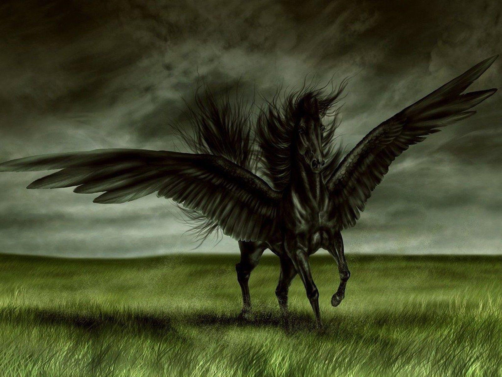 Black Horse Desktop Wallpaper