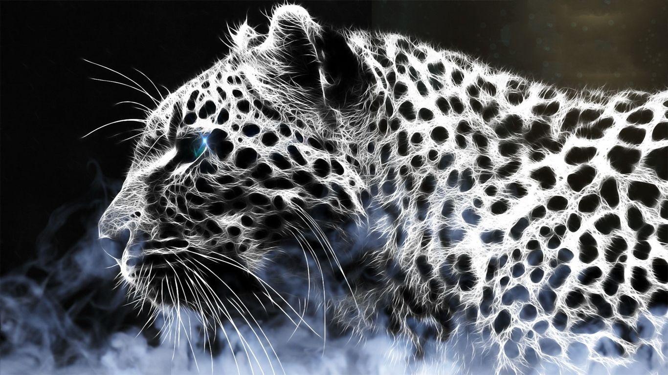 Black Leopard Wallpaper Image HD