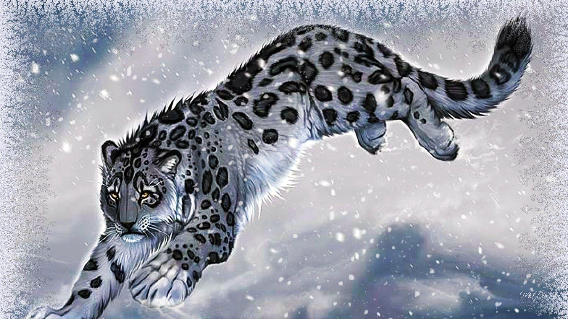 Amazing Animal Snow Leopard High Resolution Wallpaper For