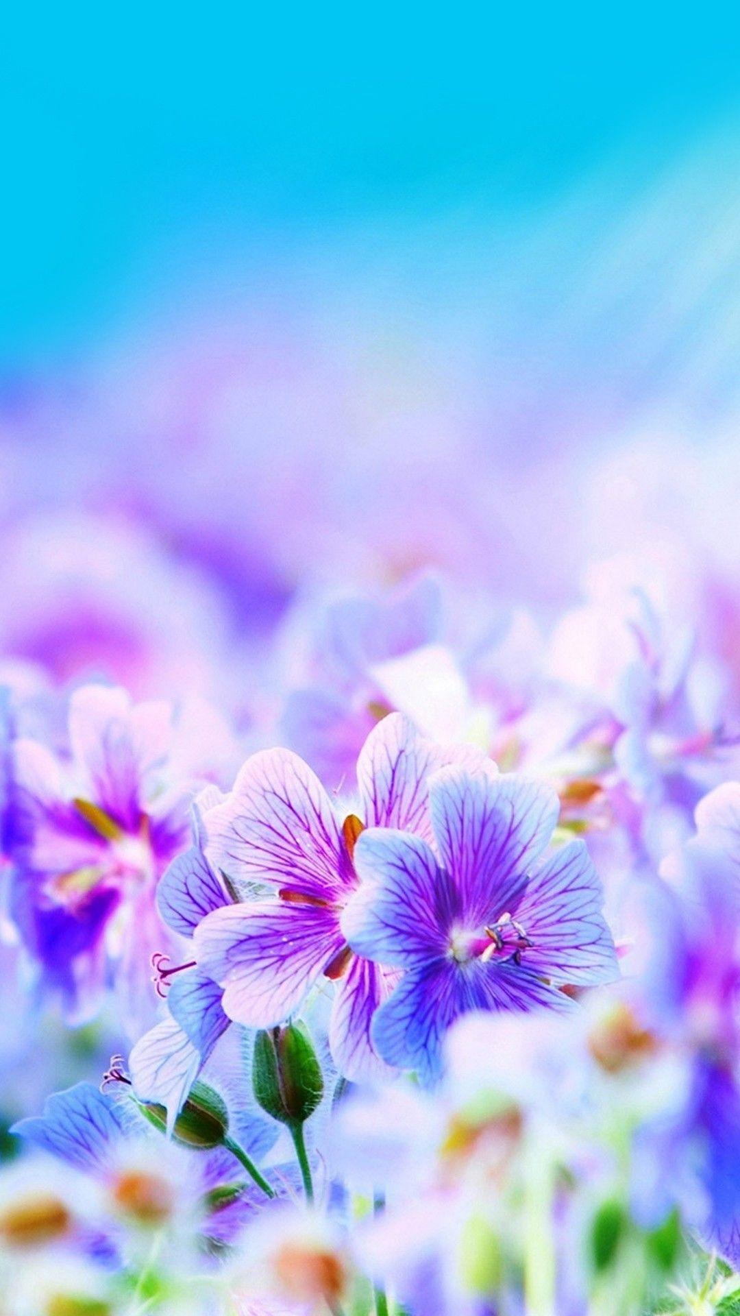 Flower Mobile Wallpaper